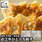  гёдза рефрижератор подарок Shiga говядина quotient добродетель . полный близко . корова .... гёдза / подарок по случаю конца года 2025 наличие рефрижератор гёдза рефрижератор .... ваш заказ гурман ваш заказ ....gyo- The 