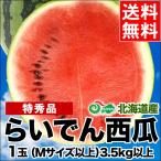 【2024年予約】 すいか スイカ 送料無料 北海道共和町産 らいでんすいか（特秀品 M〜L 3.5kg以上）／ お中元 御中元 暑中見舞 北海道産 らいでん 果物 フルーツ