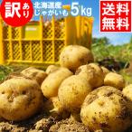 予約受付中 新じゃがいも いも イモ 送料無料 訳あり 北海道産じゃがいも （5kg） / 新じゃが ５ｋｇ ジャガイモ 北海道 新鮮直送 とうや