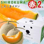 爆買 メロン 北海道 めろん ギフト SHIROKUMA SWEET 赤肉メロン 2玉 1玉約1.6kg 大玉 / 敬老の日 プレゼント 残暑お見舞い 北海道メロン 大きい 1玉