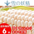 ショッピングとうもろこし 2024年予約 とうもろこし 送料無料 北海道産 白いとうもろこし 雪の妖精(6本入り) / 人気 ホワイト ホワイトコーン 甘い 高糖度 産直