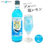 お中元 ビール-商品画像