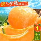 ショッピングメロン 2024年 予約 北海道産 メロン 送料無料 ご自宅用限定 訳あり 個撰 夕張メロン 1.8〜2.0kg 特大玉×1玉 / 夕張産 北海道 赤肉メロン 自宅用[wakem]