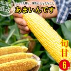 とうもろこし 北海道 あまいんです 6本入り / トウモロコシ とうきび 北海道産 新鮮 旬 甘い イエロー 南幌町明るい農村ネットワーク
