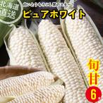 【2024年予約】 とうもろこし 送料無料 北海道産 ピュアホワイト 6本入 南幌町明るい農村ネットワーク / トウモロコシ 白い 白系 ホワイト