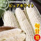 【2024年予約】 とうもろこし 送料無料 北海道産 ピュアホワイト 10本入り 南幌町明るい農村ネットワーク 2セット購入で5本おまけ！