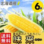 予約 とうもろこし 送料無料 北海道産 味来(みらい/6本入り) / 北海道 トウモロコシ 新鮮直送 旬 黄色 イエローコーン 甘い