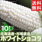 ショッピングとうもろこし 【2024年予約】とうもろこし 送料無料 北海道産 ホワイトショコラ(10本) / 北海道 ホワイト 白い トウモロコシ 新鮮直送 甘い