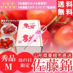 父の日 遅れてごめんね さくらんぼ 山形県産 佐藤錦（秀品 Mサイズ ダイヤパック 100g×2パック カーネーション付）/ フルーツ 果物 人気 産地直送