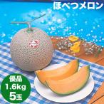 出荷開始中 お中元 メロン ギフト 2022 送料無料 共選 北海道産 ほべつメロン 5玉入り(優品 1.6kg×5玉) / フルーツ 贈り物 穂別メロン