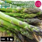 [2026 год .. предварительный заказ ]... зеленый спаржа L/2L.1kg house культивирование прямая поставка от производителя производство прямой весна . Hokkaido aspala спаржа 
