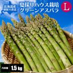 [ предварительный заказ ] Hokkaido производство aspala house культивирование лето .. зеленый спаржа L размер 1.5kg Hokkaido aspala высококлассный высококлассный подарок лето .[7 месяц средний ... отправка предположительно ]