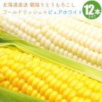 [ предварительный заказ ] кукуруза Gold Rush 6шт.@+ чисто-белый 6шт.@ еда . сравнение комплект Hokkaido прямая поставка от производителя утро .. кукуруза кукуруза .. просо 8 месяц последняя декада примерно .. отправка предположительно 