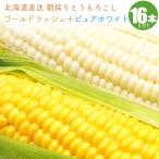 [ предварительный заказ ] кукуруза Gold Rush 8шт.@+ чисто-белый 8шт.@ еда . сравнение комплект Hokkaido прямая поставка от производителя утро .. кукуруза кукуруза .. просо 8 месяц последняя декада примерно .. отправка предположительно 