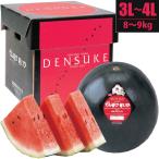 【予約】でんすけすいか(秀品)3L〜4L/8〜9kg 1玉 通販 スイカ 北海道産 黒皮 ジャンボスイカ 当麻町 7月上旬より予約順に発送