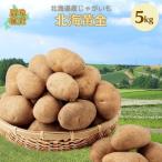 [ предварительный заказ ] новый картофель Hokkaido jagaimo север море желтый золотой 5kg правильный товар *LM/L/2L. картофель 