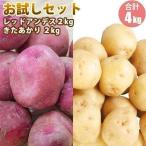 [ предварительный заказ ] картофель Hokkaido jagaimo.....2kg красный Anne tes2kg пробный комплект ( новый картофель )