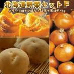 [ предварительный заказ ] картофель Hokkaido Hokkaido овощи комплект F...LM/L/2L 4kg тыква 2 шар шар лук порей 4kg ( новый картофель )