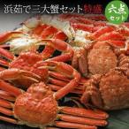 カニ 蟹 浜茹で三大蟹 特盛 タラバガニ足 800g 2肩 ズワイガニ 570g 2尾 毛ガニ 330g 2尾 内祝 お歳暮 御祝 寒中見舞 年末年始 お正月 御年賀 北海道ギフト