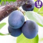 [ предварительный заказ ] Hokkaido производство чернослив сырой 1kg фрукты фрукты осенний тест .9 месяц средний ... предварительный заказ последовательность . отправка 