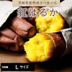 茨城県旭村産「紅はるか」5kg Ｌサ�