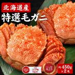 毛ガニ 毛蟹 北海道産 ギフト 毛がに 450gx2尾 セット 札幌 場外市場 ボイル 卸売市場 海鮮グルメ お取