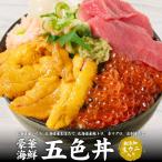 札幌中央卸売市場 海鮮5色丼 セット 本マグロ いくら醤油漬け 生ウニ 生ほたて貝柱 鮭とろ 海鮮丼 送料無料 プレゼント