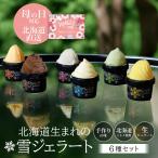 丸市岡田商店 北海道のアイス 雪ジェラート 【6種セット】アイス 詰め合わせ アイス ギフト 送料無料 北海道