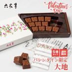 六花亭 大地 だいち 14個入×5個セット バレンタイン限定 セミスィート 生チョコ ギフト プレゼント