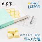 六花亭 雪の大地 ゆきのだいち 14個入 ホワイトデー限定 生チョコ チョコレート ギフト プレゼント