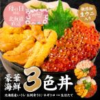 ショッピング内祝い 海鮮丼 海鮮 うに 豪華海鮮3色丼 セット いくら醤油漬け 生ウニ 生ほたて貝柱 ネギトロ 三色 送料無料 内祝い 母の日 プレゼント