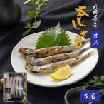  Hokkaido производство .... мужской 5 хвост книга@..... лист рыба Hokkaido производство .... сушеный продукт морепродукты морепродукты закуска sake. . рис. .. Hokkaido гурман ваш заказ . покупка День почитания пожилых людей [ рефрижератор ]