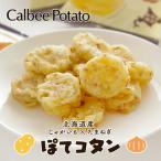 カルビー ポテト Calbee POTATO ぽてコタン 10袋入  　　　　御中元 2024 ギフト スイーツ お菓子 スナック菓子 誕生日 内祝い 退職 北海道限定 有名
