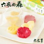 六花亭 六花の森 母の日 お花見 2025 ギフト プチギフト スイーツ 洋菓子 誕生日 内祝い 退職 お祝い プレゼント 御供 感謝