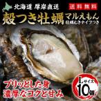 牡蠣 カキ 殻付き 生食用 Lサイズ 10個 1.5kg 北海道 厚岸産 マルえもん お取り寄せ かき 産直 カキナイフ付き 検査表付き ブランド牡蠣 熨斗 お祝い 送料無料