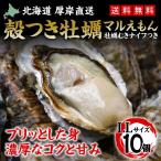 ショッピング牡蠣 カキ 殻付き 生食用 牡蠣 LLサイズ 10個 北海道 厚岸産 マルえもん お取り寄せグルメ 産直 カキナイフ付き 検査表付き ギフト ブランド牡蠣 熨斗 お歳暮