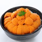 生うに エゾバフンウニ 100g 塩水パック ロシア産 送料無料 同梱不可