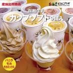 【30％OFF クーポン】 産地出荷 お歳暮「函館牛乳　カップソフト9個入」冷凍　送料込