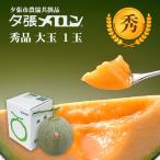 【早割り特価】夕張市農協直送 共撰品 夕張メロン秀品大玉(約1.6kg) 1玉【送料無料】 北海道 お中元 贈答品 引出物 赤肉メロン お供え物 お盆 名物