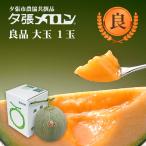 【早割り特価】夕張市農協直送 共撰品 夕張メロン良品大玉(約1.6kg) 1玉【送料無料】 北海道 お中元 贈答品 引出物 赤肉メロン お供え物 お盆 名物