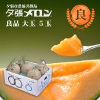 【早割り特価】夕張市農協直送 共撰品 夕張メロン良品大玉(約1.6kg) 5玉1箱【送料無料】 北海道 お中元 贈答品 引出物 赤肉メロン お供え物 お盆 名物