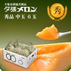 【早割り特価】夕張市農協直送 共撰品 夕張メロン秀品中玉(約1.3kg) 6玉1箱【送料無料】 北海道 お中元 贈答品 引出物 赤肉メロン お供え物 お盆 名物