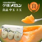 【早割り特価】夕張市農協直送 共撰品 夕張メロン良品中玉(約1.3kg) 3玉【送料無料】 北海道 お中元 贈答品 引出物 赤肉メロン お供え物 お盆 名物