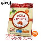 ≪花畑牧場≫生キャラメル 常温タイプ プレーン 小袋40g 北海道 お土産 おみやげ お菓子 スイーツ 生クリーム ギフト プレゼント 贈答