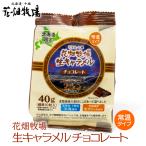 ≪花畑牧場≫生キャラメル常温タイプ チョコレート 小袋40g 北海道 お土産 おみやげ お菓子 スイーツ 生クリーム ギフト プレゼント 贈答