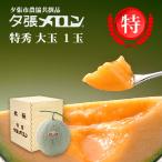 【早割り特価】夕張市農協直送 共撰品 夕張メロン特秀大玉(約1.6kg) 木箱詰 1玉【送料無料】北海道 お中元 贈答品 引出物 赤肉メロン お供え物 お盆 名物