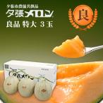 夕張市農協直送 共撰品 夕張メロン良品特大(約2.0kg) 3玉【送料無料】北海道 お中元 贈答品 引出物 赤肉メロン お供え物 お盆 名物