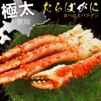 【期間限定SALE⇒50％OFFクーポン有！