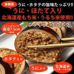 イカ飯 いか大漁めし ジャンボサイズ ウニ ホタテ入 豪華いか飯 絶品