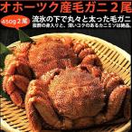 毛蟹 ボイルオホーツク産毛ガニ 450グラム×2尾